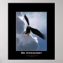 Search for flying eagle posters Motivational