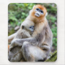 Search for species electronics Cute animals