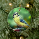 Search for blue bird christmas tree decorations Animals