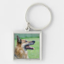 Search for shepherd puppy key rings Park
