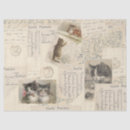 Search for kitten gift wrap Decoupage