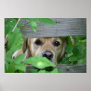 Search for dog decor posters Friend
