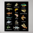 Search for freshwater fishing posters Boat