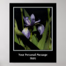 Search for iris posters Floral