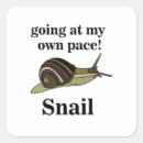 Search for snails shell stickers Cute