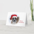 Search for bernard cards Pets