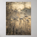 Search for flemish posters Flowers