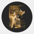 Search for cat tattoo stickers Funny