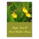 Search for ladyslipper Yellow