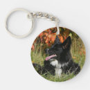 Search for panting key rings Canine photographer