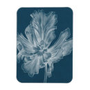Search for tulips rectangular magnets Florals