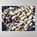 Search for mussels posters Nature