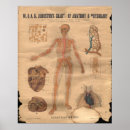 Search for anatomical heart art Vintage