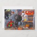 Search for adorable dog cards Shih tzu