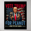 Search for anti hillary art President
