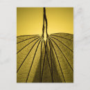 Search for leaf vein postcards Garden