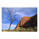 Search for monolithic posters Nature