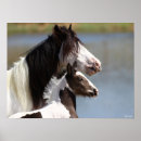 Search for headshot posters Foal