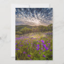 Search for ranges cards Flower