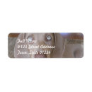 Search for dog breeds return address labels Canine