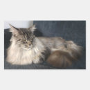 Search for maine coon cat stickers Animal