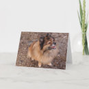 Search for panting photography Cute