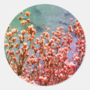 Search for magnolia blossom stickers Nature