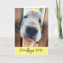 Search for funny stick cards Photograph