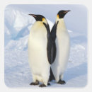 Search for emperor penguin stickers Animals in the wild