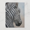Search for wildlife art postcards Zebra