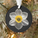 Search for daffodil christmas tree decorations Bouquet