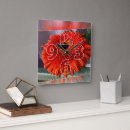 Search for orange clocks Flower