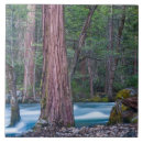 Search for national park tiles Moss