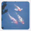 Search for japanese koi fish stickers Pond