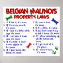 Search for malinois art Funny