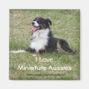 Search for aussie magnets Pets