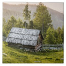 Search for cabin tiles Vintage