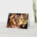 Search for kitty note cards Feline