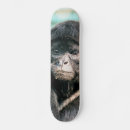 Search for monkeys skateboards Animals