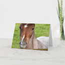 Search for welsh birthday cards Horse