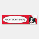 Search for black and white cat bumper stickers Shelter