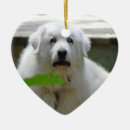 Search for great pyrenees christmas tree decorations Pet