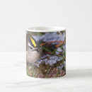 Search for crown mugs Yellow