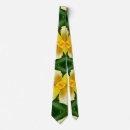 Search for daffodil ties Nature