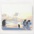 Search for frosty mousepads Landscape
