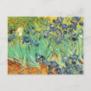 Search for irises postcards Fine
