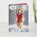 Search for golden retriever in snow cards Winter