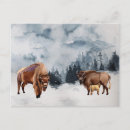 Search for buffalo postcards Watercolor