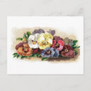 Search for vintage pansies postcards Floral