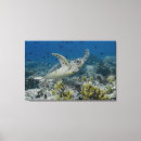 Search for indonesia canvas prints Jaynes gallery